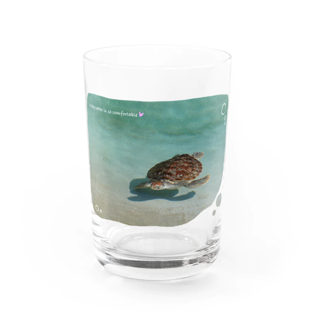 竜の工房・翔 -SUZURI SHOP-のたゆたうウミガメ Water Glass :front