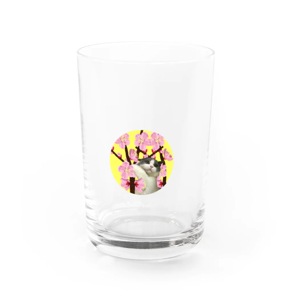 ねこのむたの【ねこのむた】お花にすがる Water Glass :front