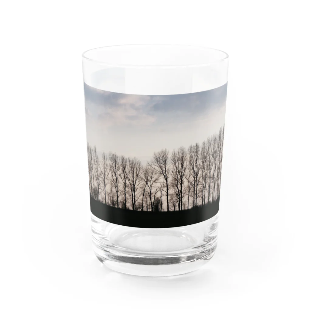 Ende der Weltのアレーな並木 Water Glass :front