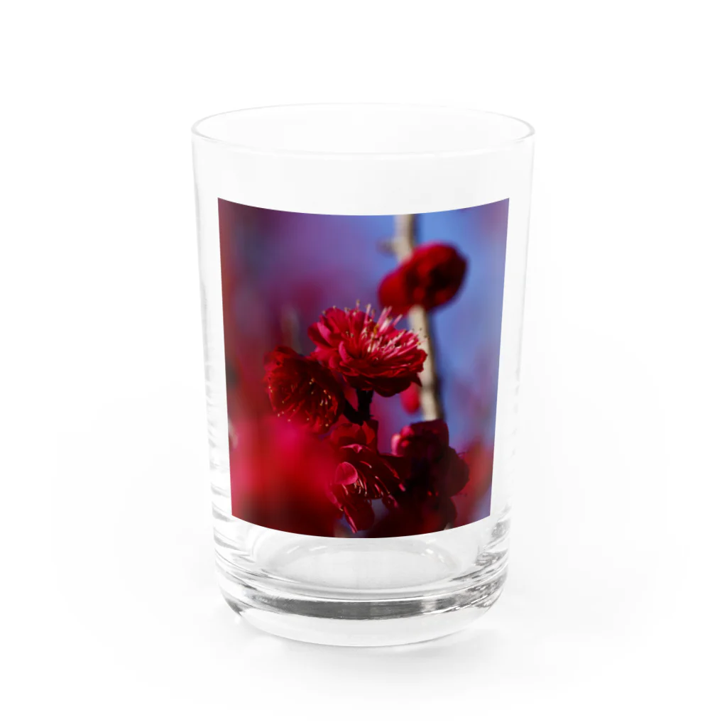 eMu*りおの赤い梅(写真) グラス前面
