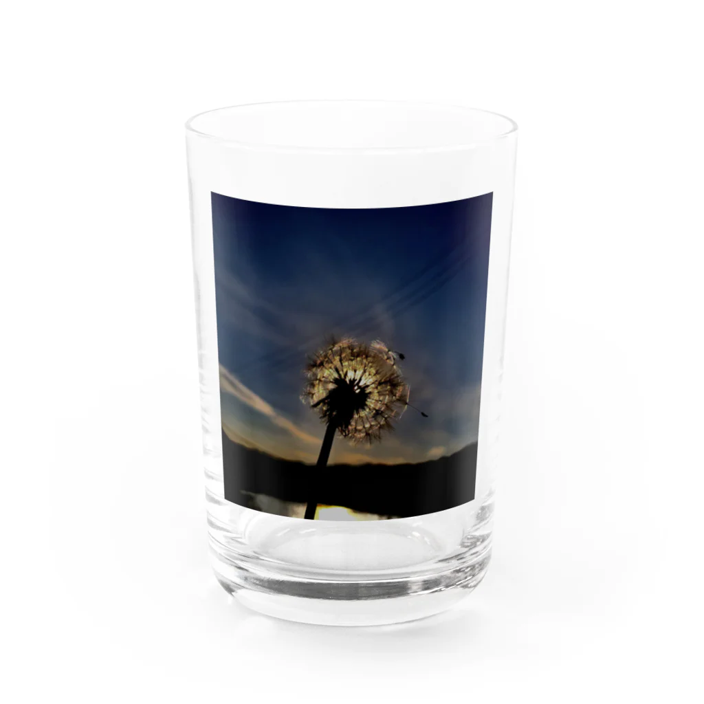 Oscarのわた毛 Water Glass :front