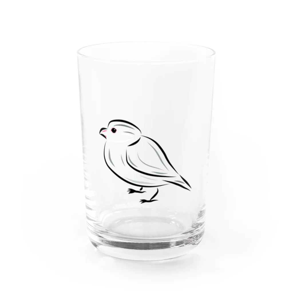 海のサワガニのシンプル文鳥 Water Glass :front