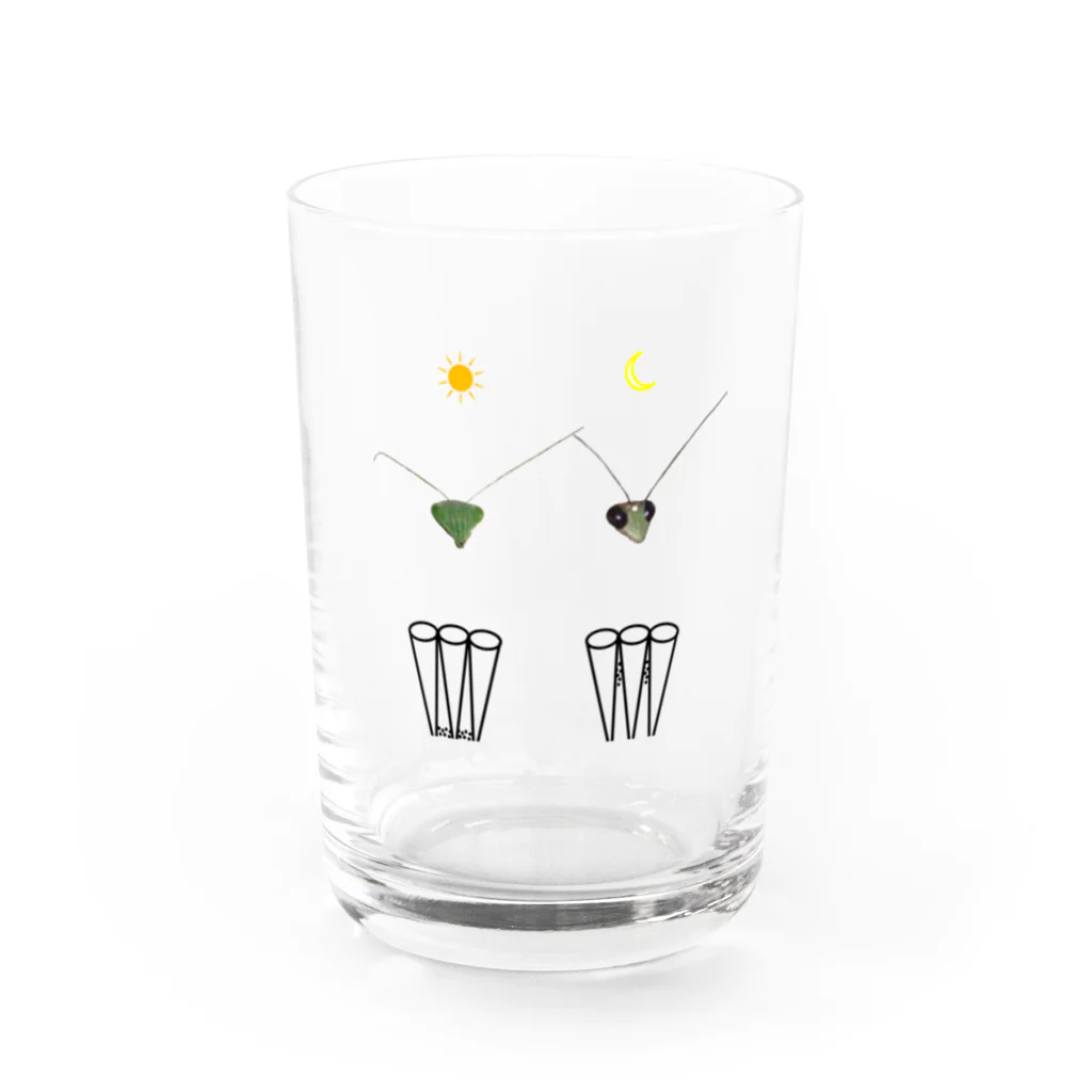 L_arctoaのカマキリの昼と夜の複眼（絵文字、背景透過ver） Water Glass :front