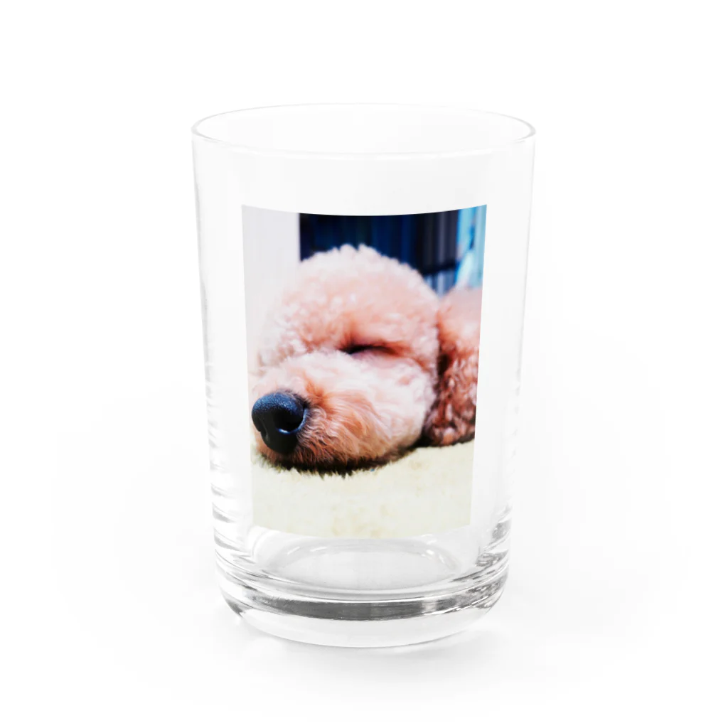 Bisonのsleep... Water Glass :front