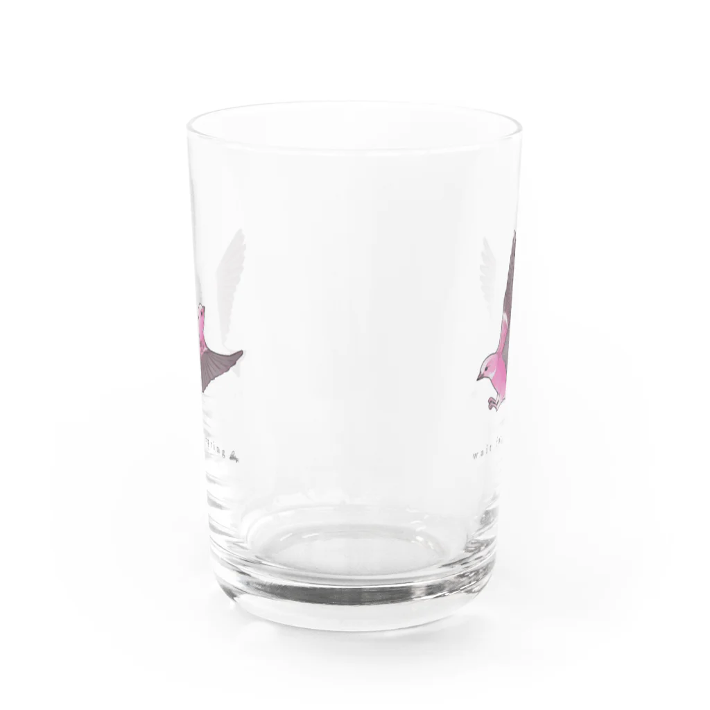 竹条いちいの春待ち Water Glass :front