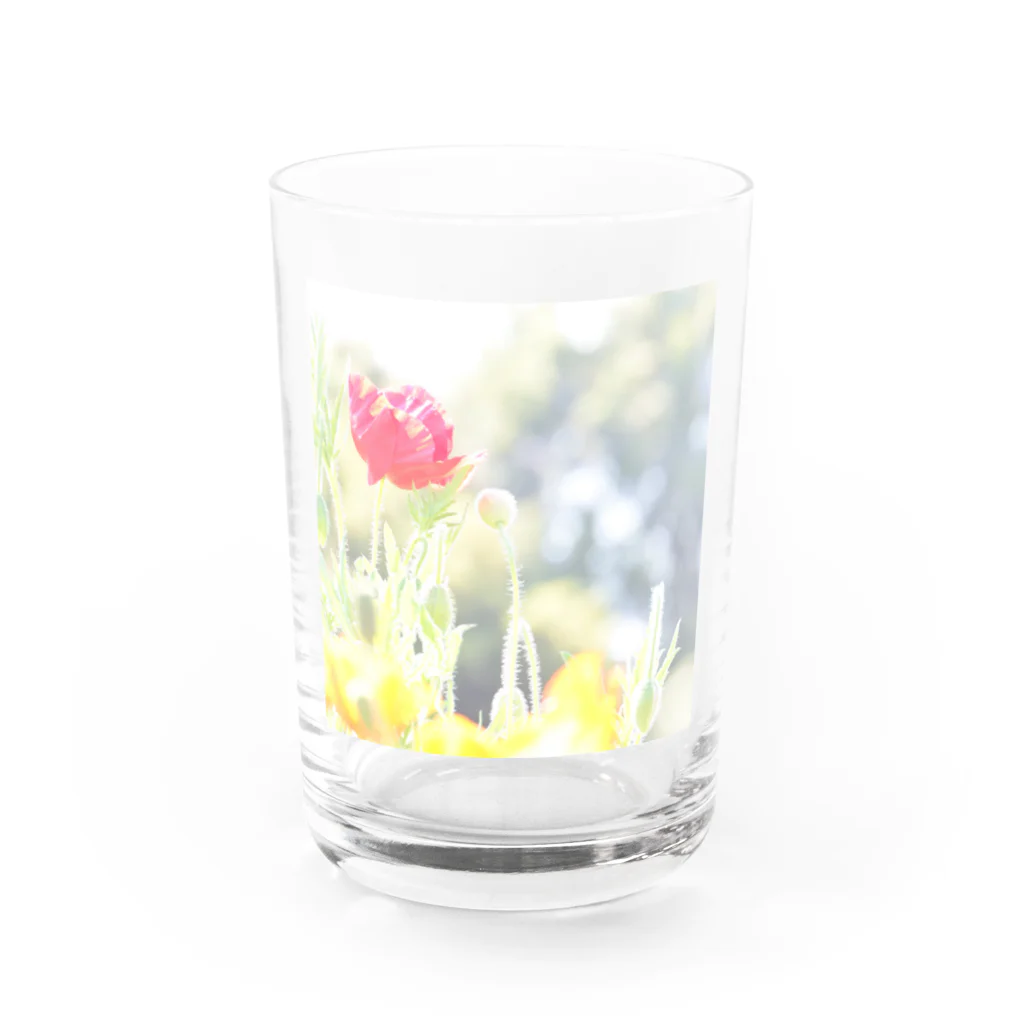 cloudlandのきらきらポピー Water Glass :front