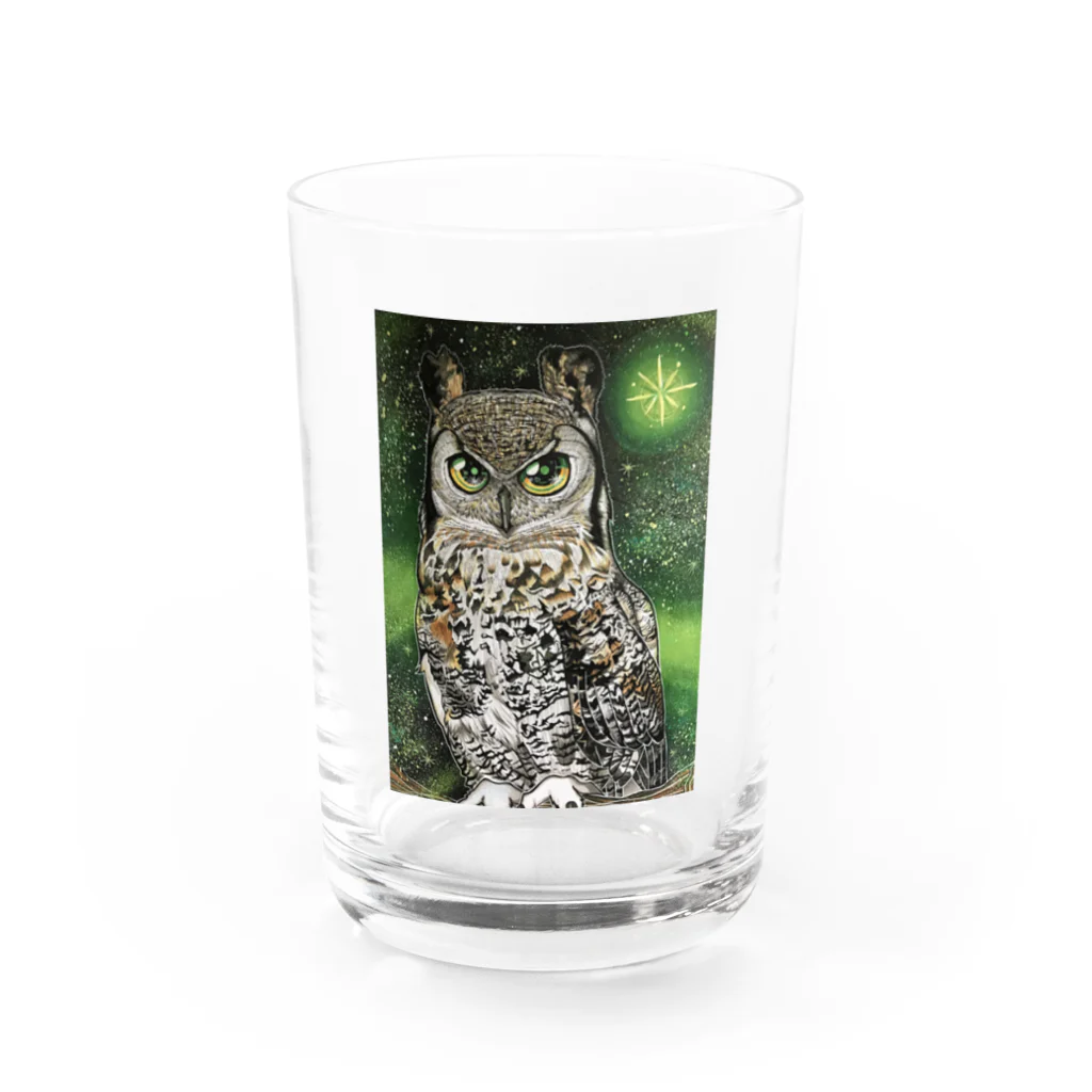 フクロウシホの深淵なミミズク Water Glass :front