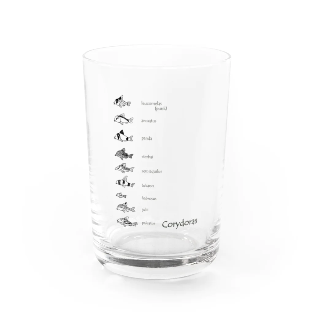 ぺんぎん丸のコリドラス大集合-Corydoras- Water Glass :front