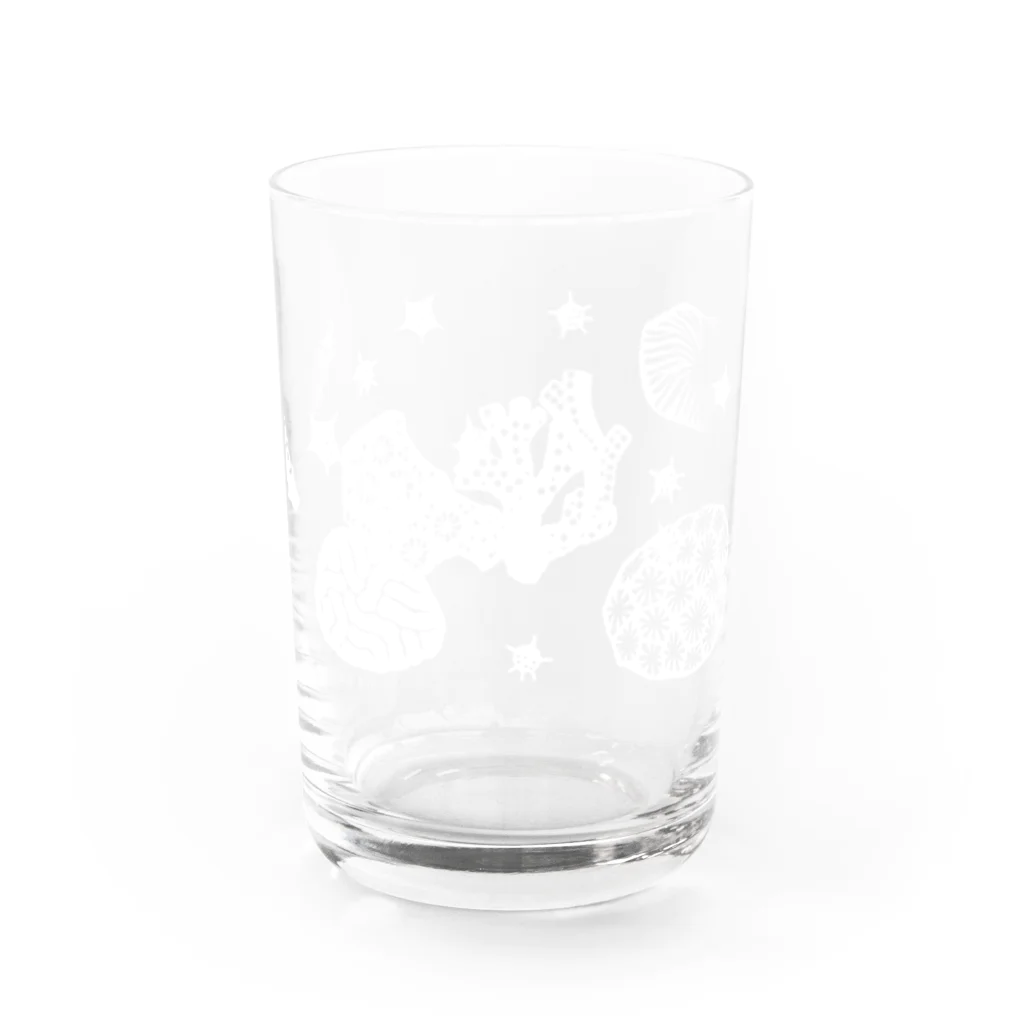 しまのなかまfromIRIOMOTEの造礁さんご Water Glass :front