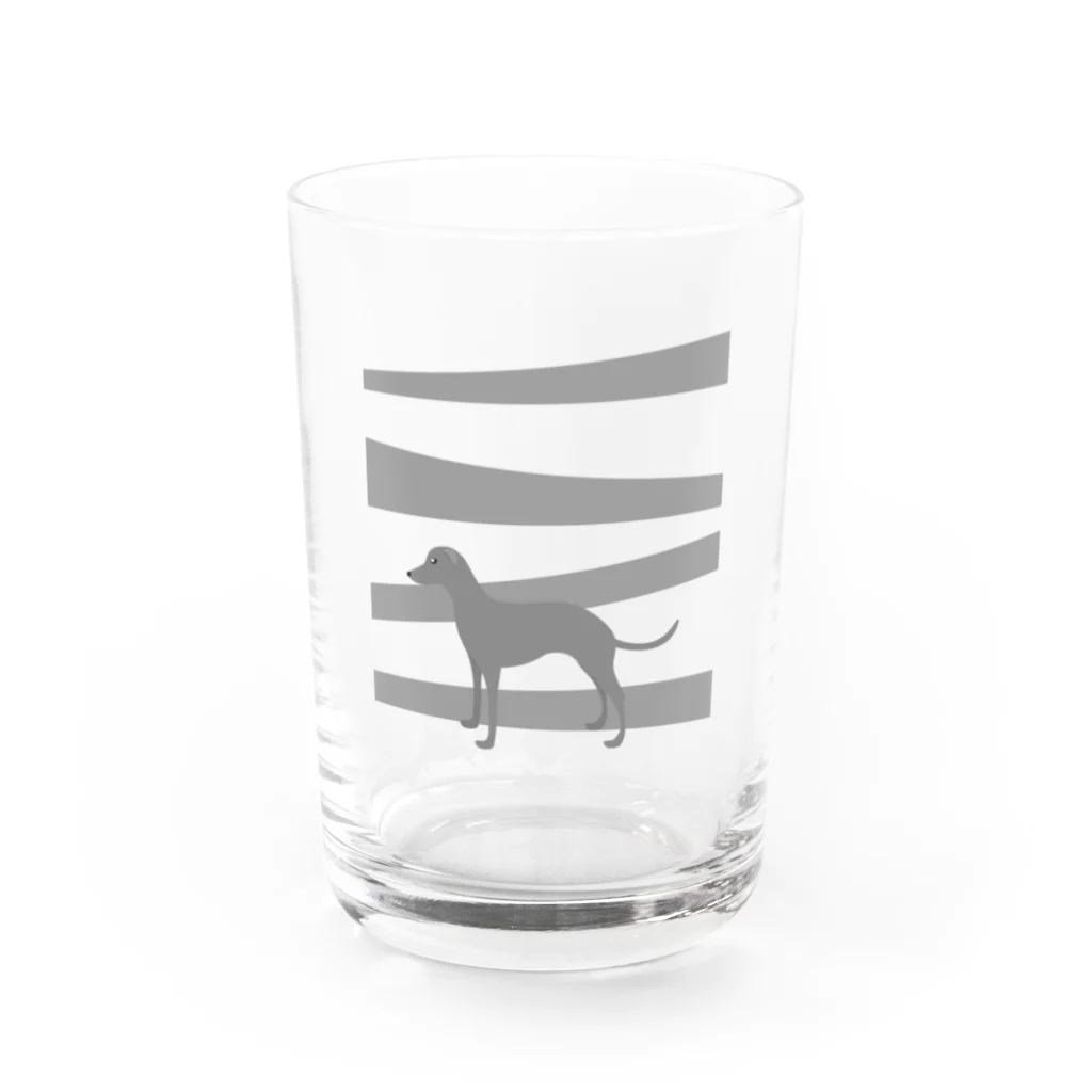 ふうふうたかのイタリアン・グレーハウンド Water Glass :front