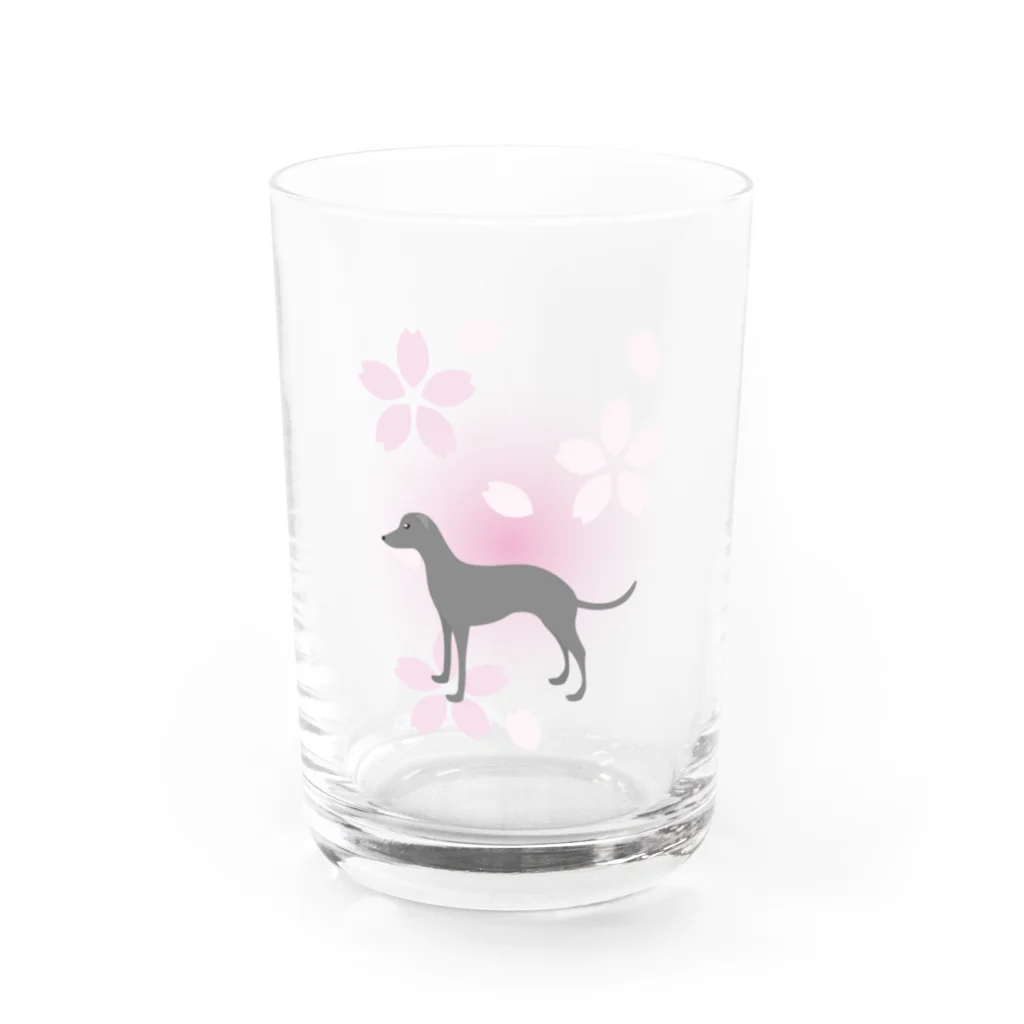 ふうふうたかのイタリアン・グレーハウンド Water Glass :front