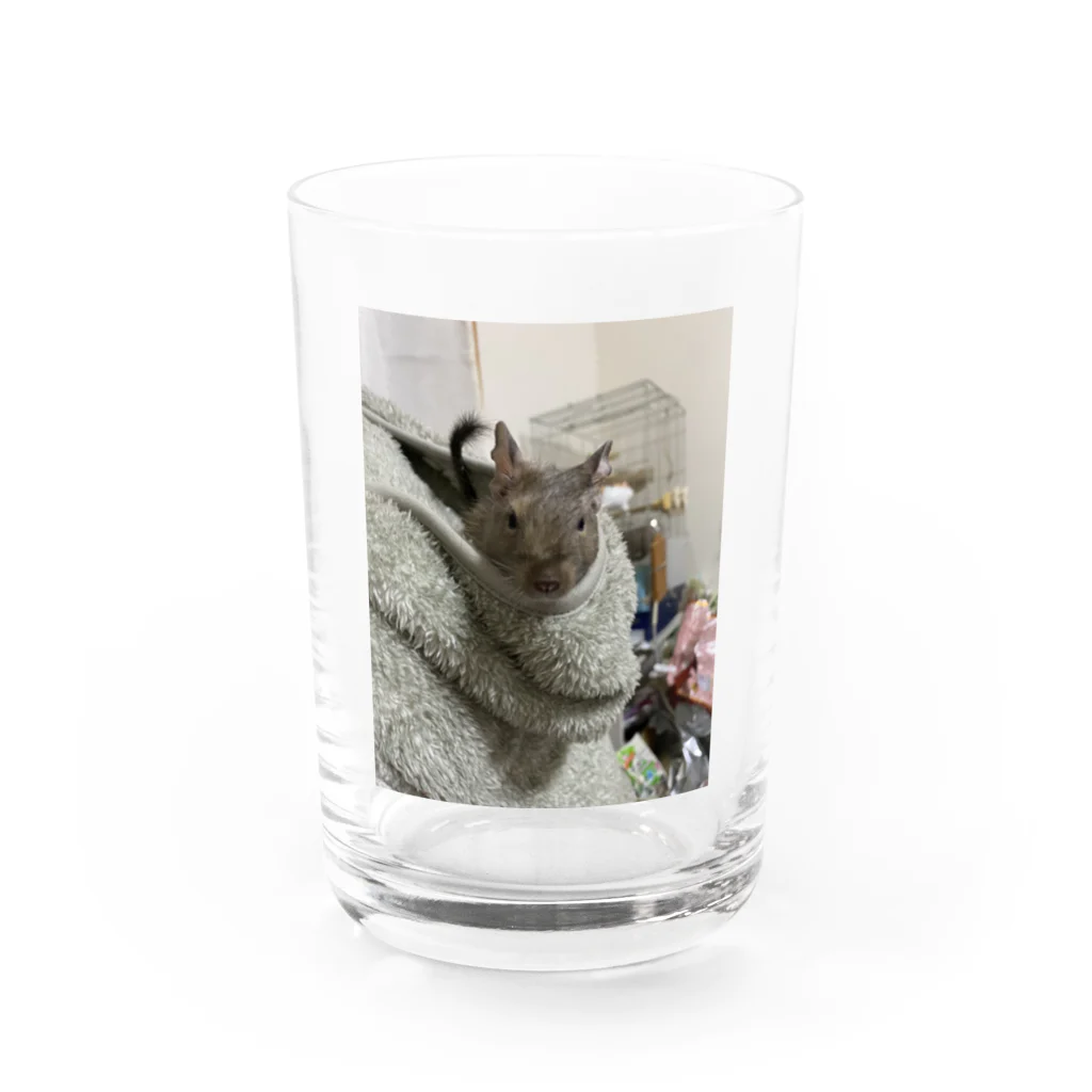 もぐレッダのフードインぐり Water Glass :front