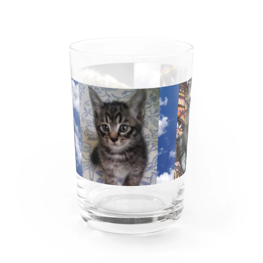 きなこ あずきショップのあずき ぎん きなこ Water Glass :front