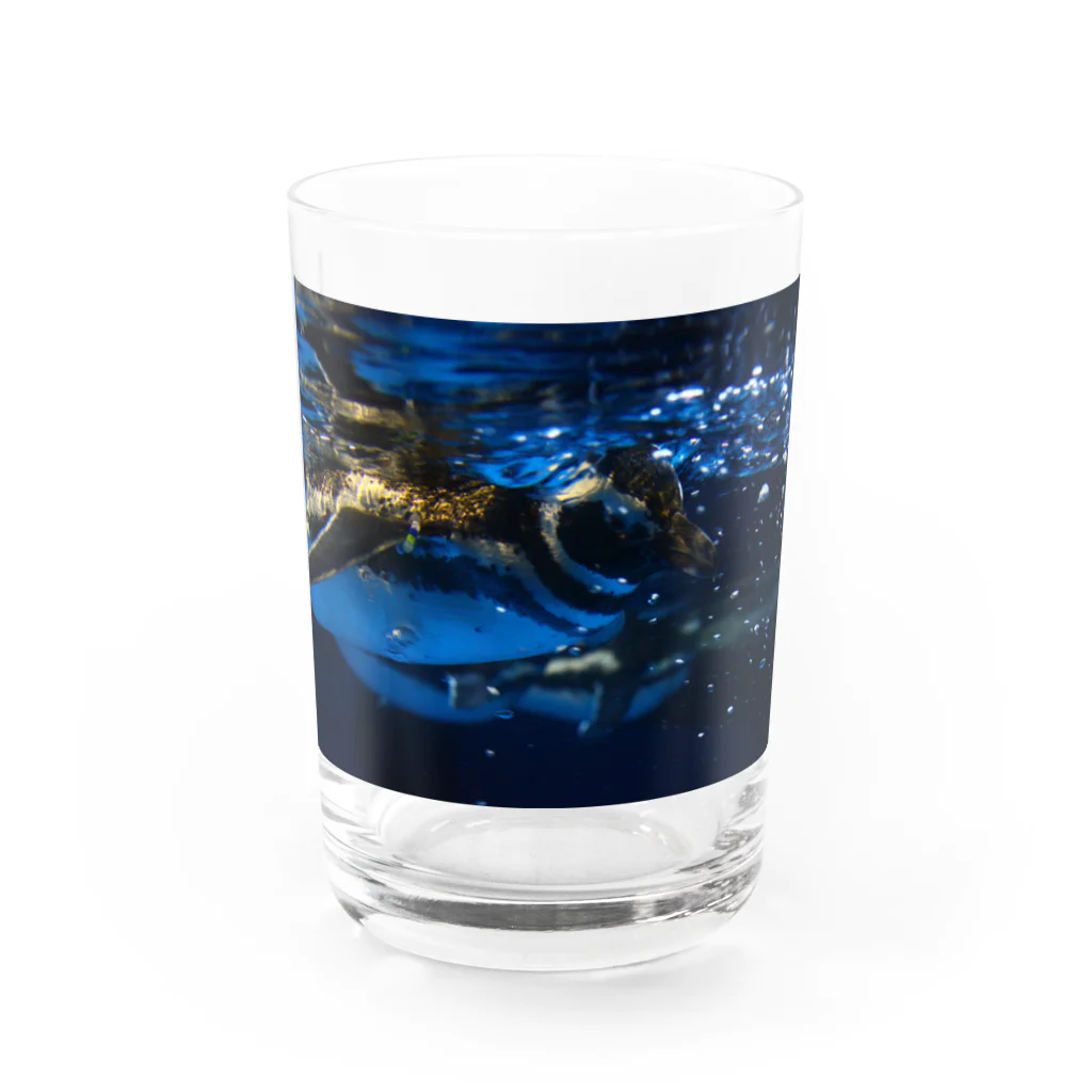 No.8のペンギン Water Glass :front