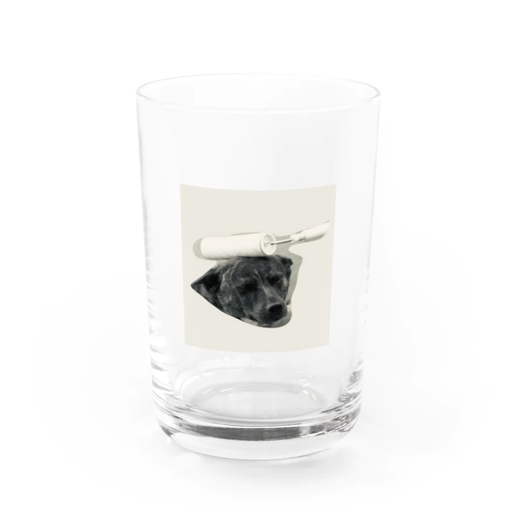 よく寝る甲斐犬のころころ Water Glass :front