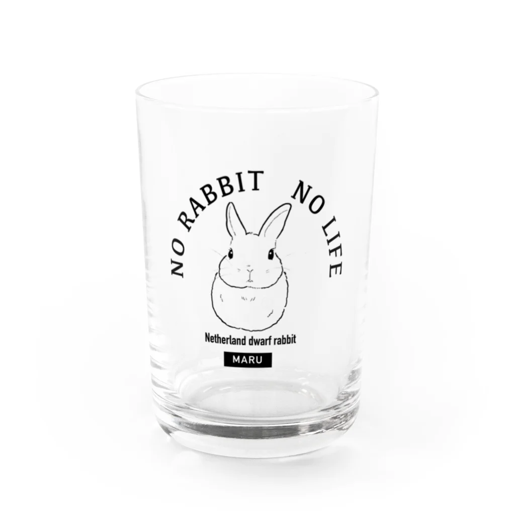 くろまるうさぎ-Kuromaru usagiのNetherland dwarf rabbit Maru Water Glass :front