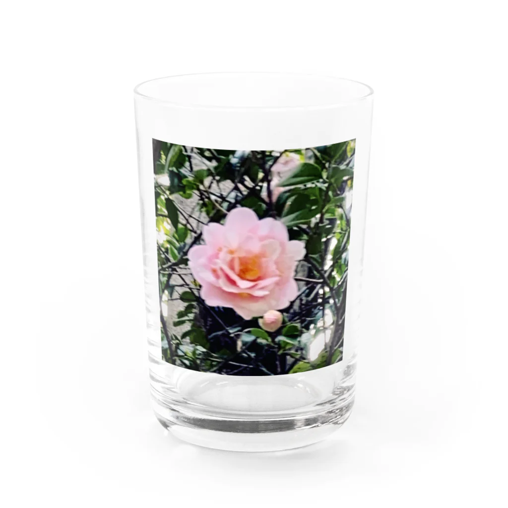 お花の双葉のカメリア Water Glass :front