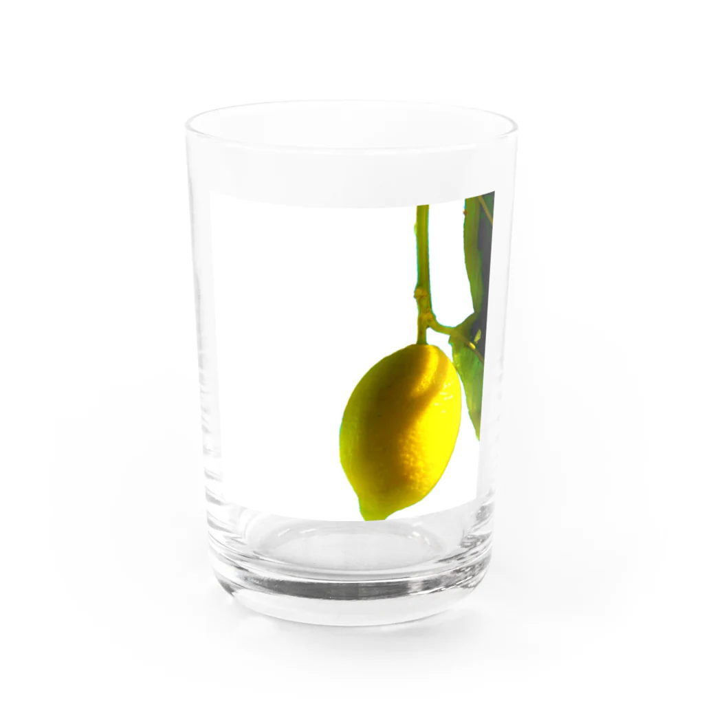 ﾆｼｷｵﾘ🍋Collectionの熱海レモン🍋0 Water Glass :front