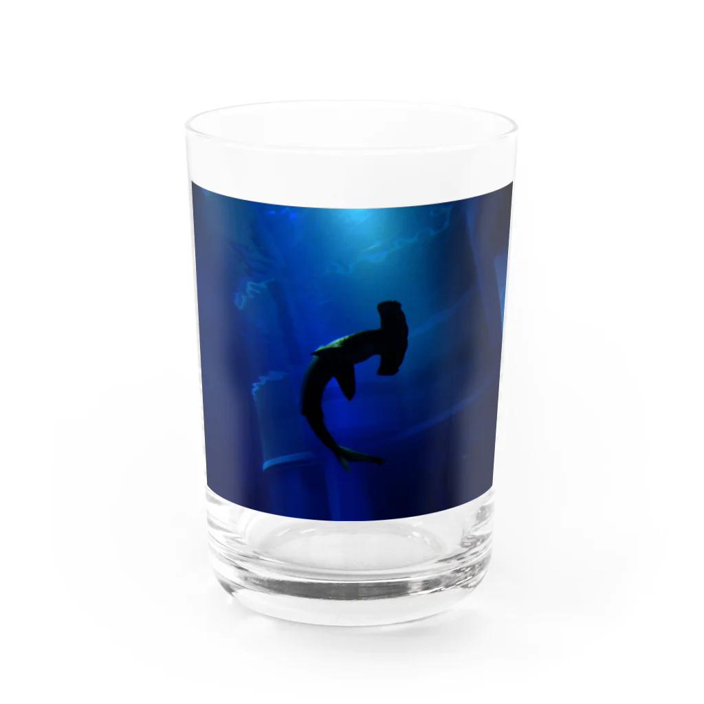 CODAの夜を泳ぐ Water Glass :front