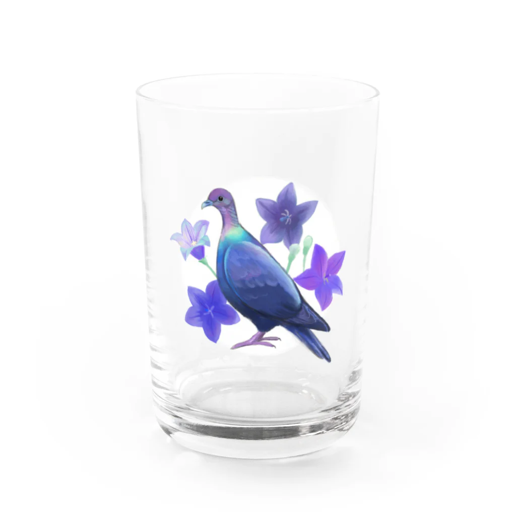 Mt.piyoのアカガシラカラスバト Water Glass :front