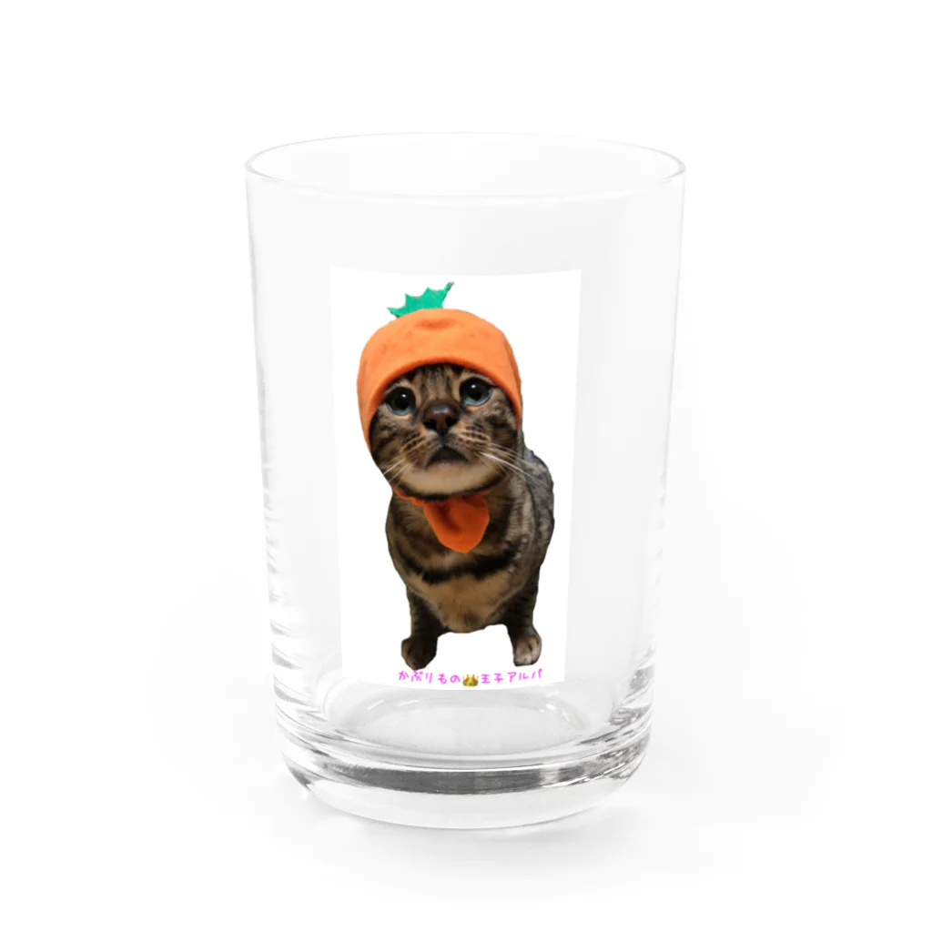 ヒョウ柄にゃんこアルバの被り物王子アルバ(にんじん) Water Glass :front