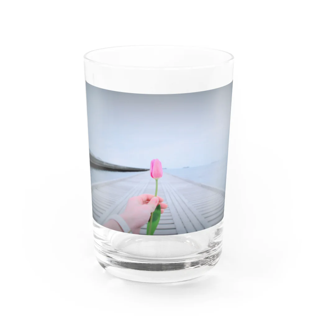 K-sampoのガラスのチューリップ（グラス） グラス前面