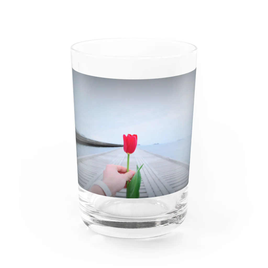 K-sampoのガラスのチューリップ（グラス） Water Glass :front