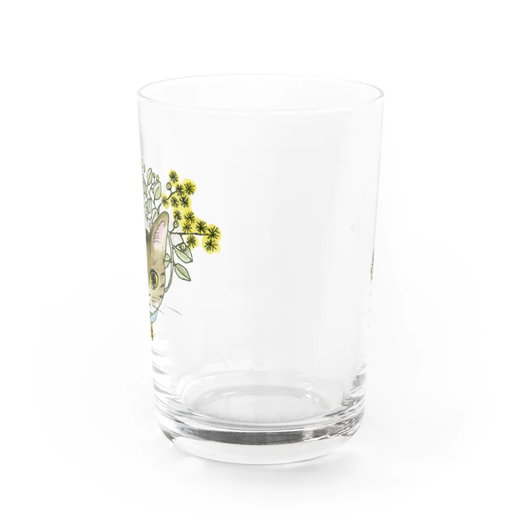 ブリキ屋の猫とパールアカシア2 Water Glass :front