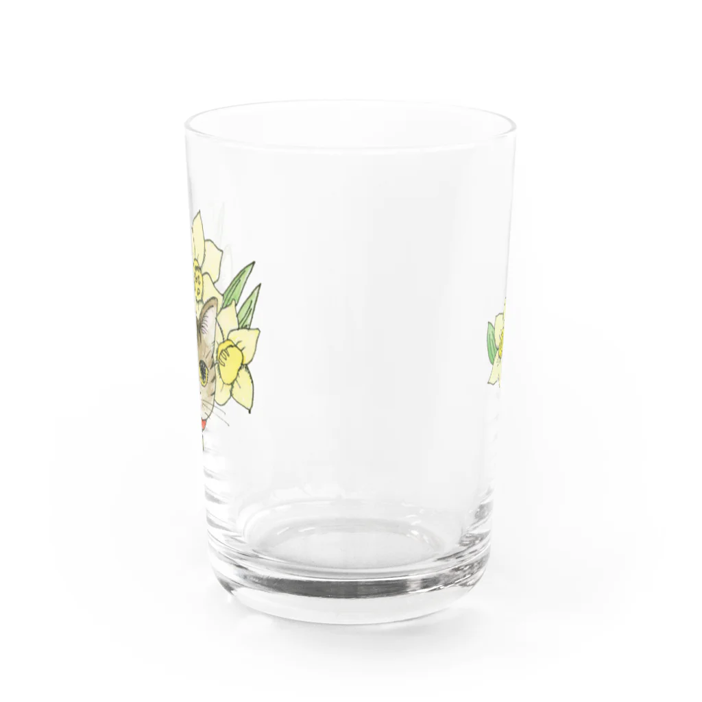 ブリキ屋の猫とスイセン2 Water Glass :front