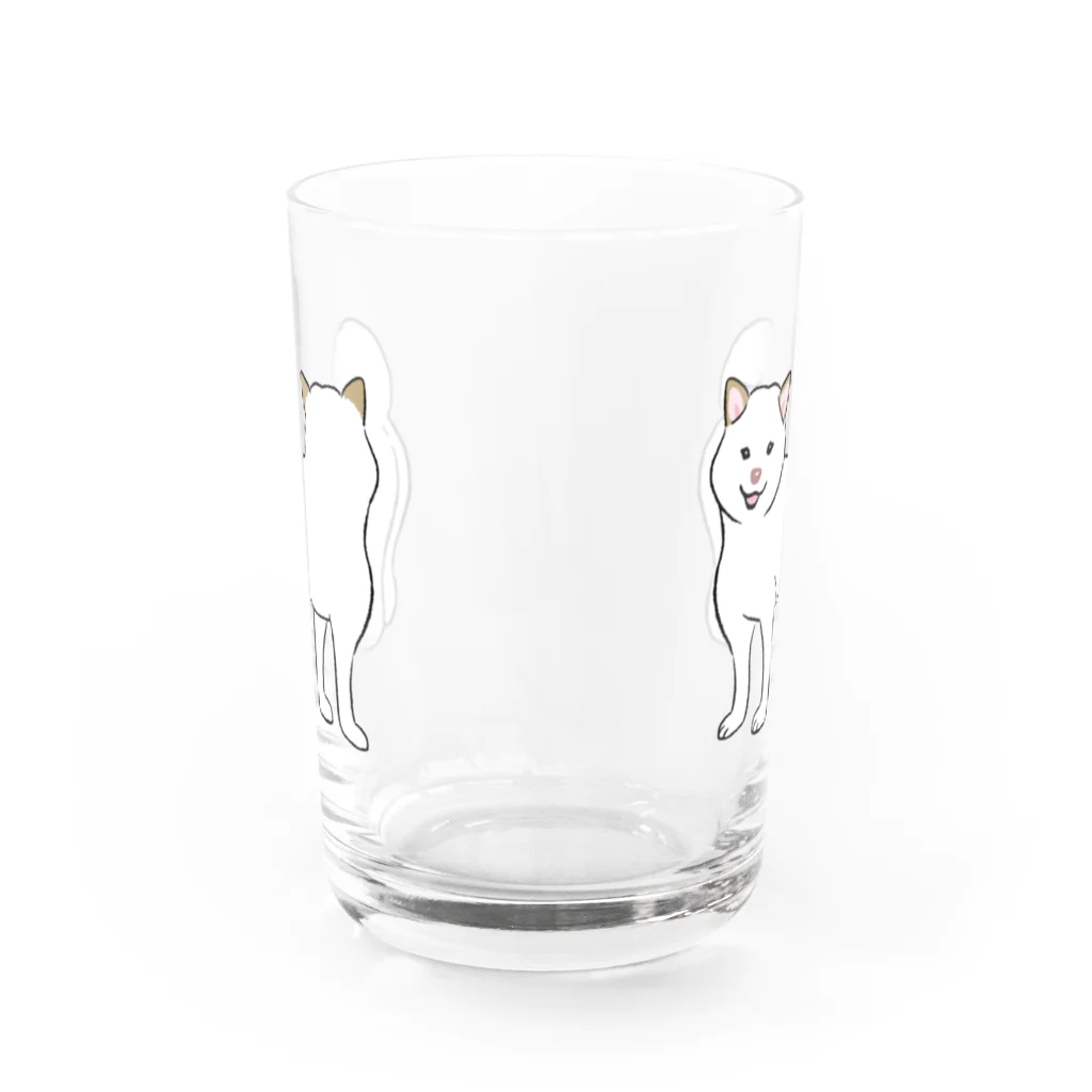 chippokeの白柴・前後 Water Glass :front