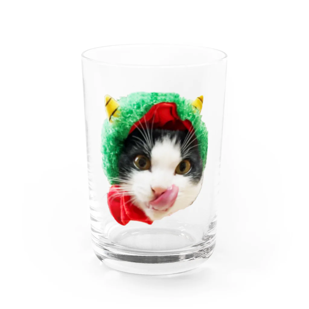 保護猫ベニとハクのベニだっちゃ❗ Water Glass :front