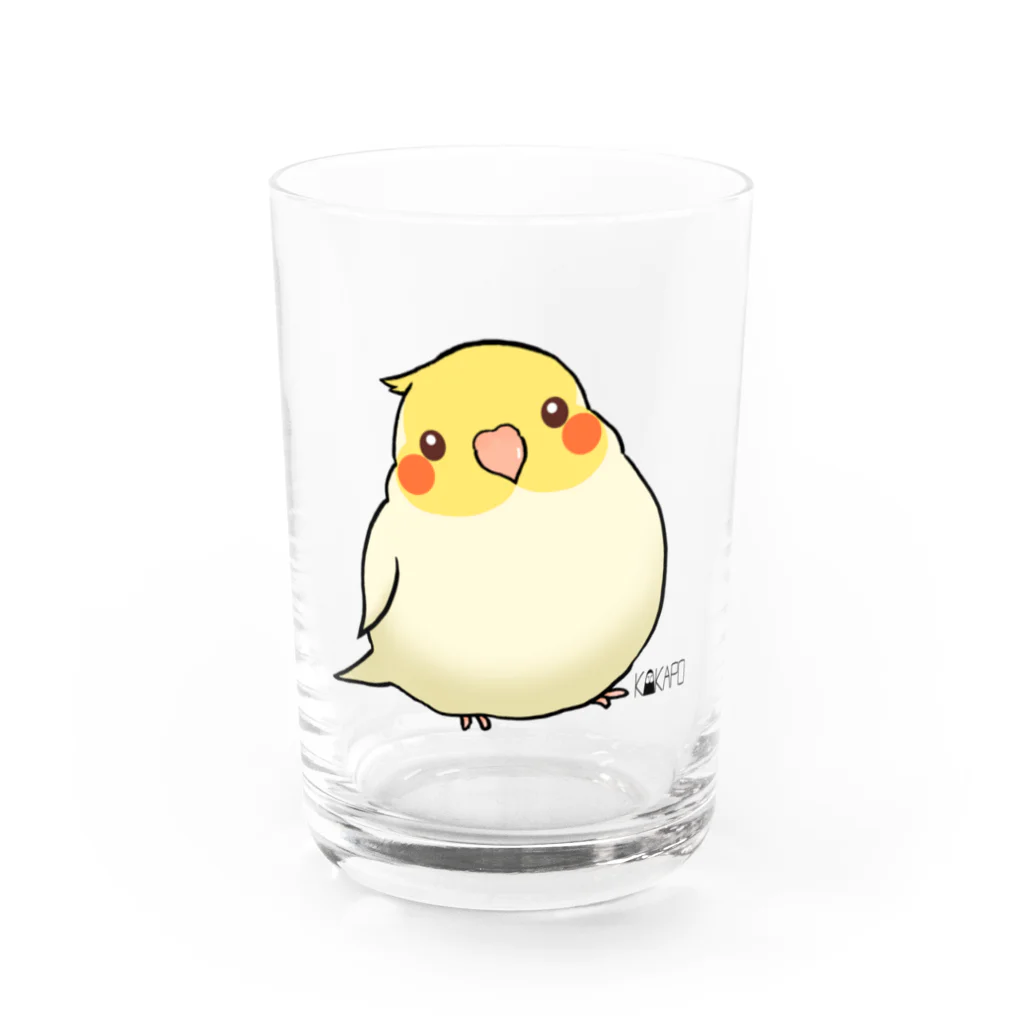 *KAKAPO*の*KAKAPO*のふんわりオカメインコちゃん(るちの) Water Glass :front