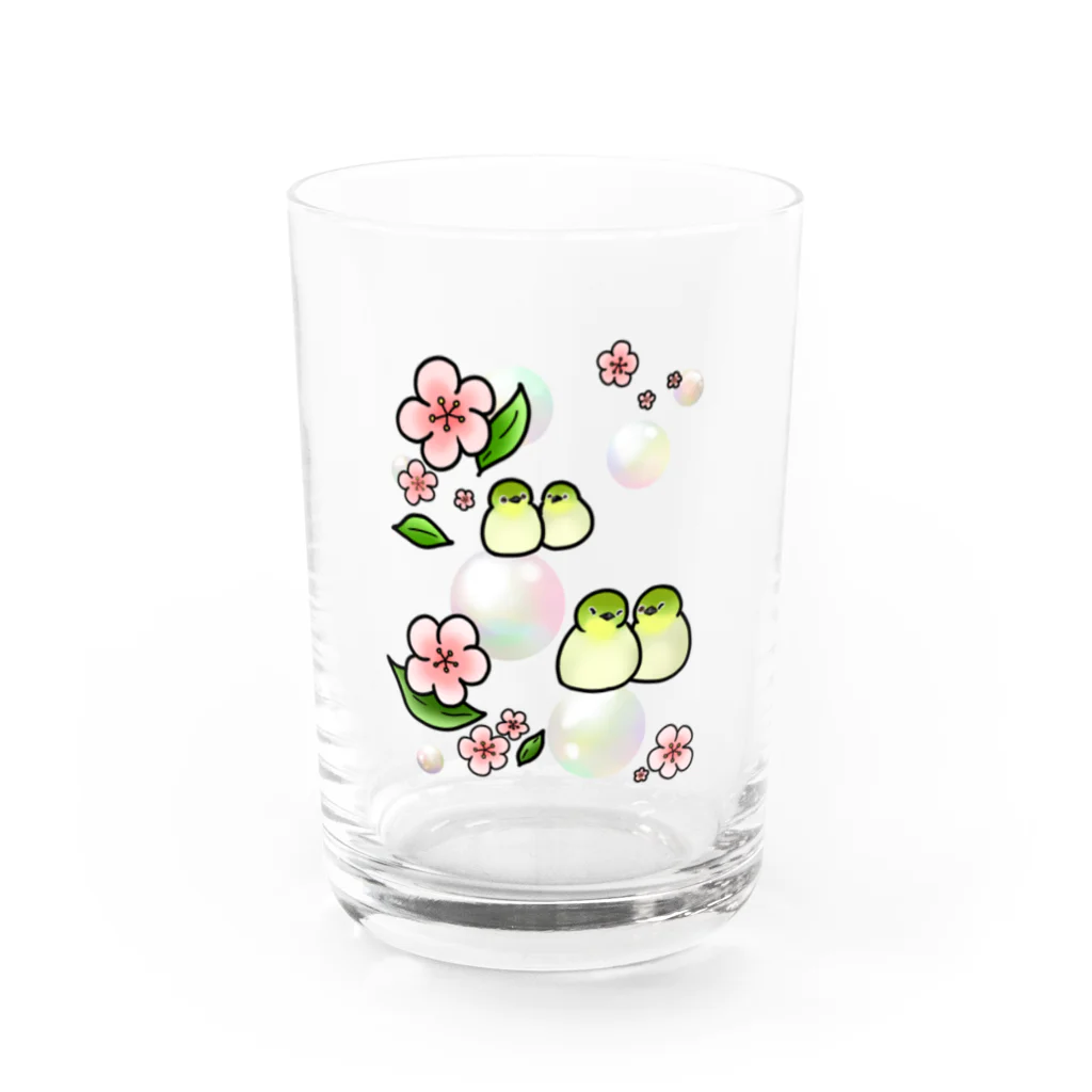 Lily bird（リリーバード）のほわほわメジロ梅 Water Glass :front