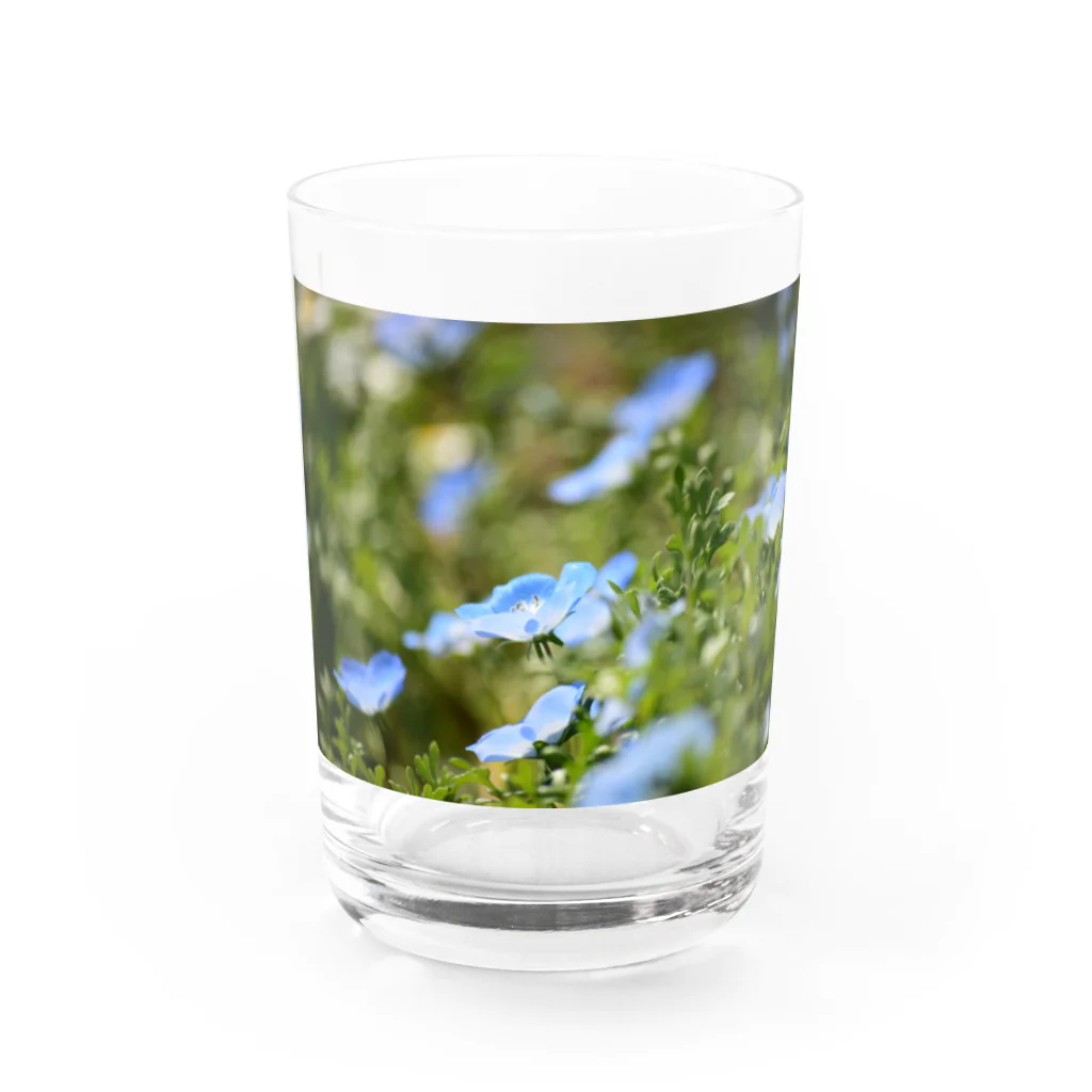 MAI maiのｱｵｲﾊﾅ Water Glass :front