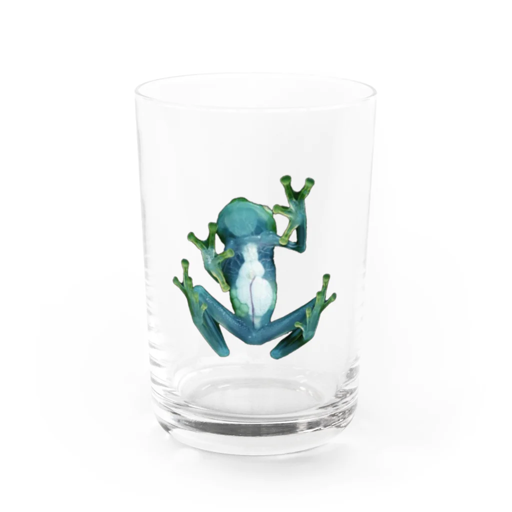 杏ちゃんのカエル Water Glass :front