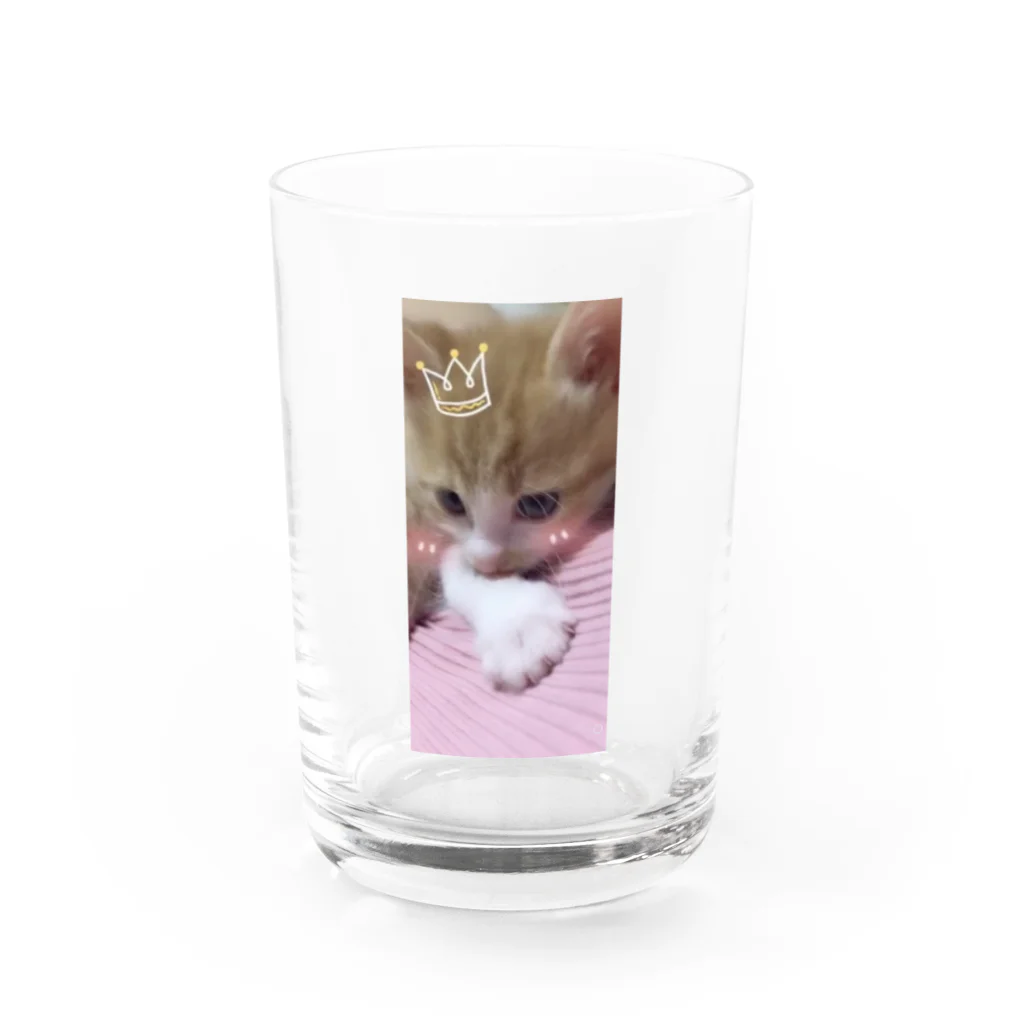 むむ😸🍈(mumu)グッズの茶白猫むむ Water Glass :front