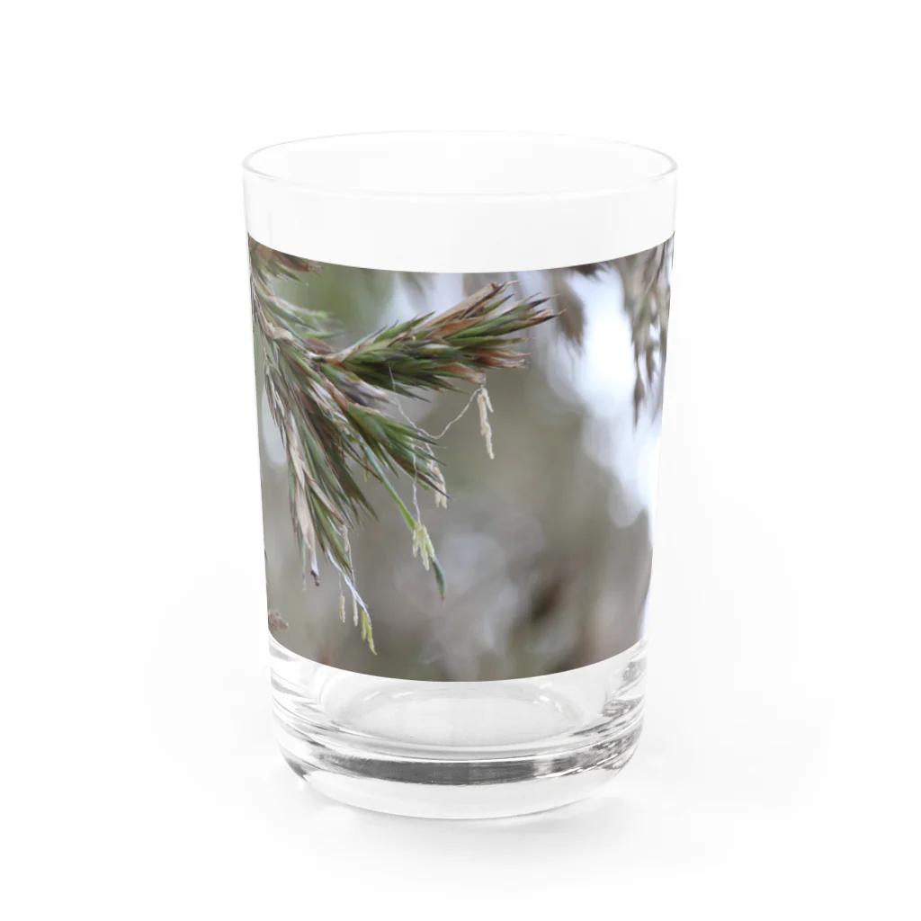 竹のおにいさんの竹ずくし君 Water Glass :front