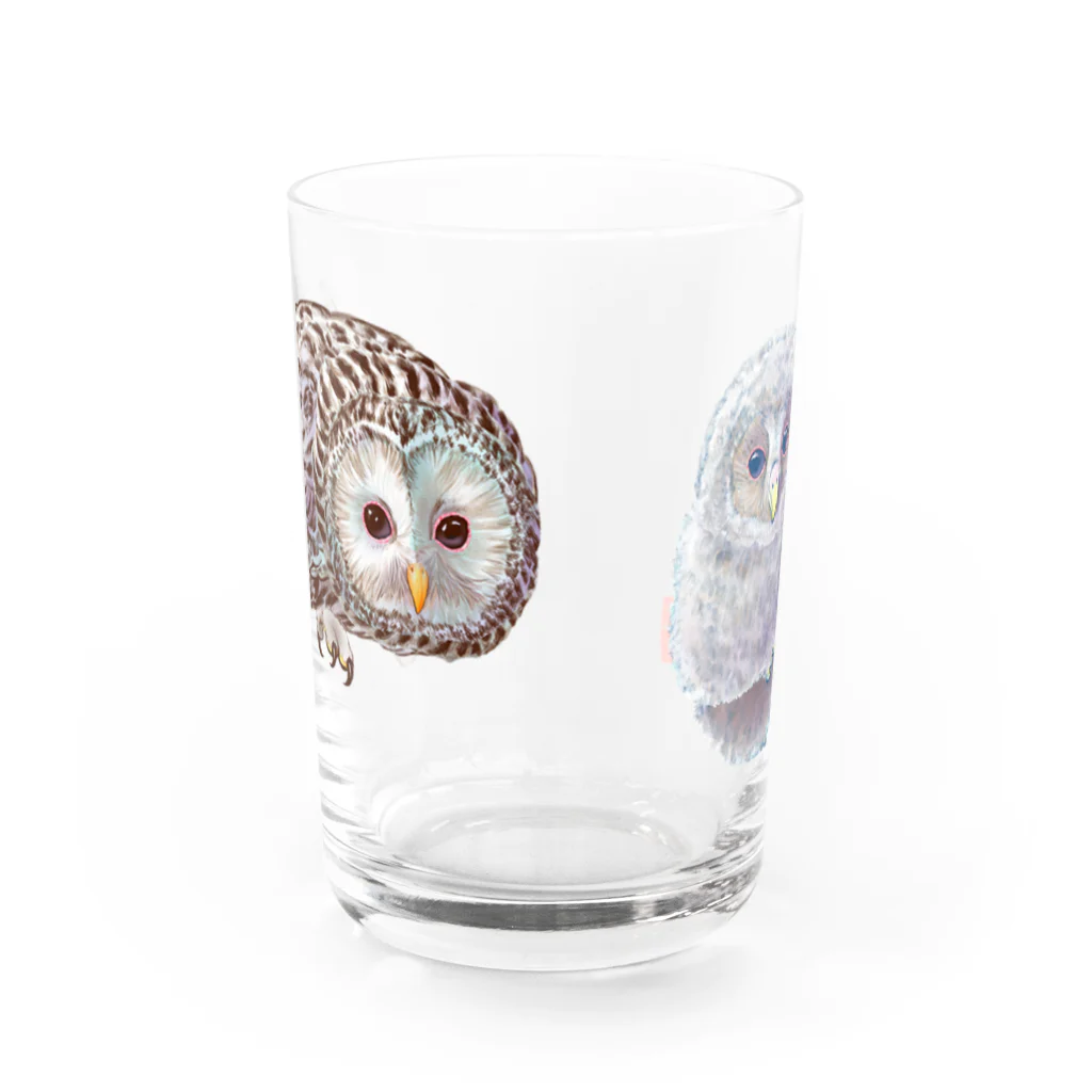 カリヲ屋スズリ支店のウラルフクロウ　大小2 Water Glass :front