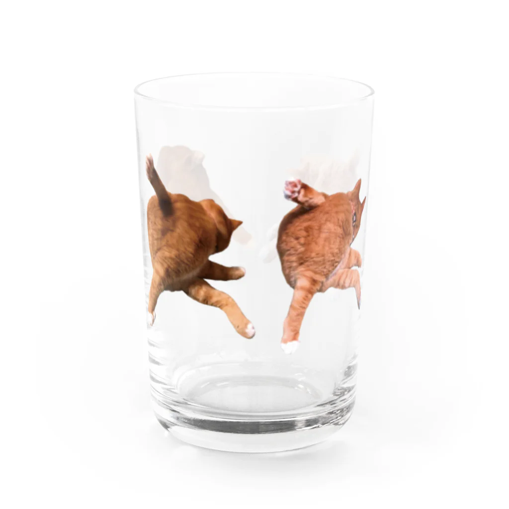 701の尻をなめる猫 Water Glass :front