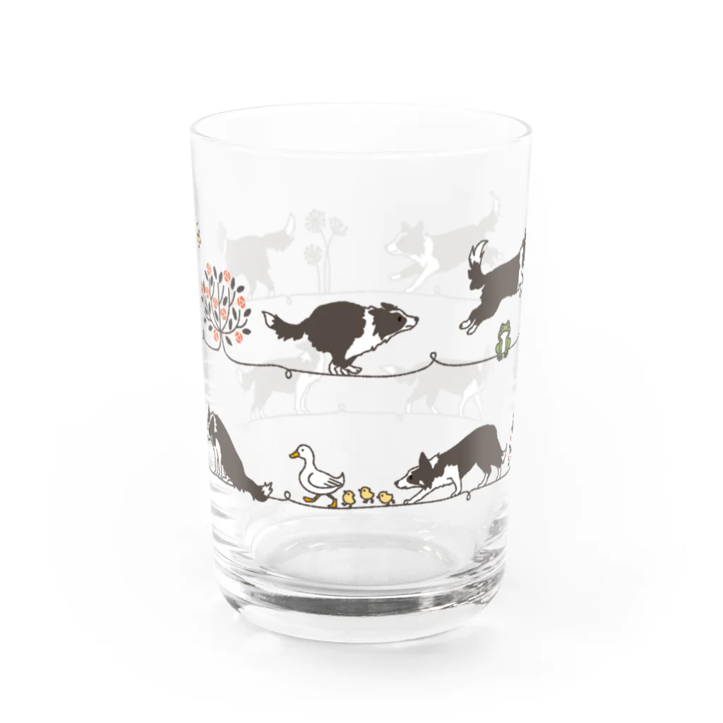 fukuUのお散歩ボーダーコリー Water Glass :front