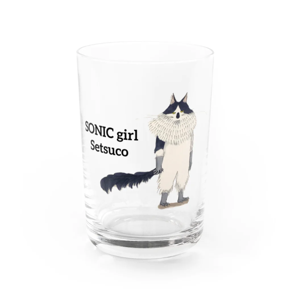 MichellemadeのSONIC girl SETSUCO Water Glass :front