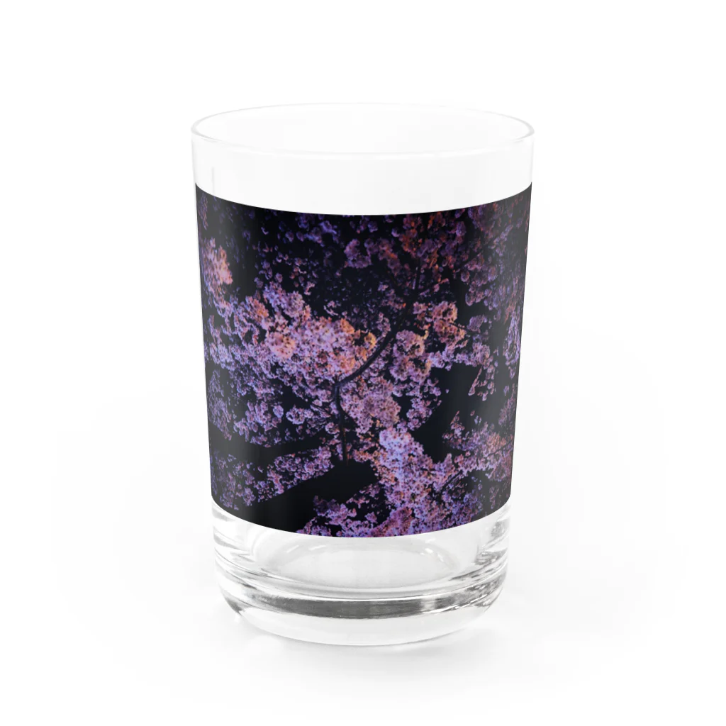 SHOPマニャガハの夜桜満開 Water Glass :front