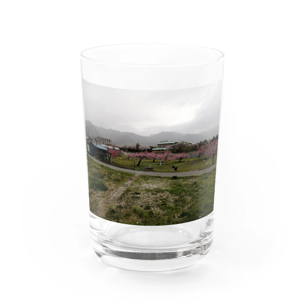 いのちばっかりさofficialのここは桃源郷か？グッズ Water Glass :front