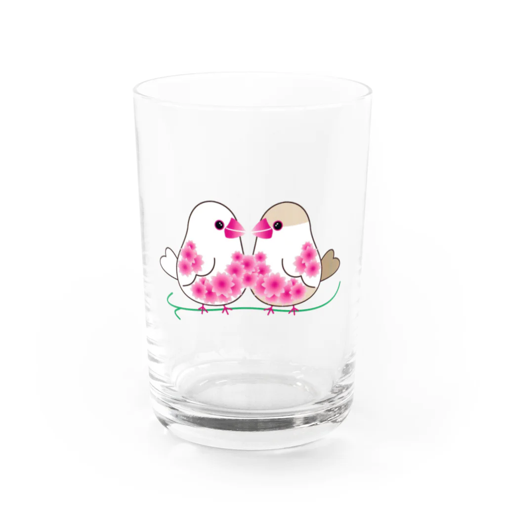 文鳥Familyの仲良し白文鳥とクリーム文鳥01 Water Glass :front