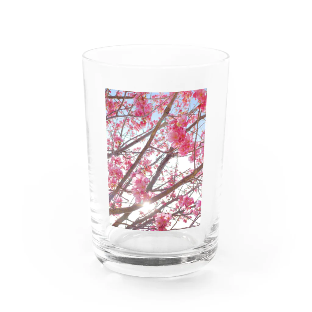 BouquetのSakura Water Glass :front