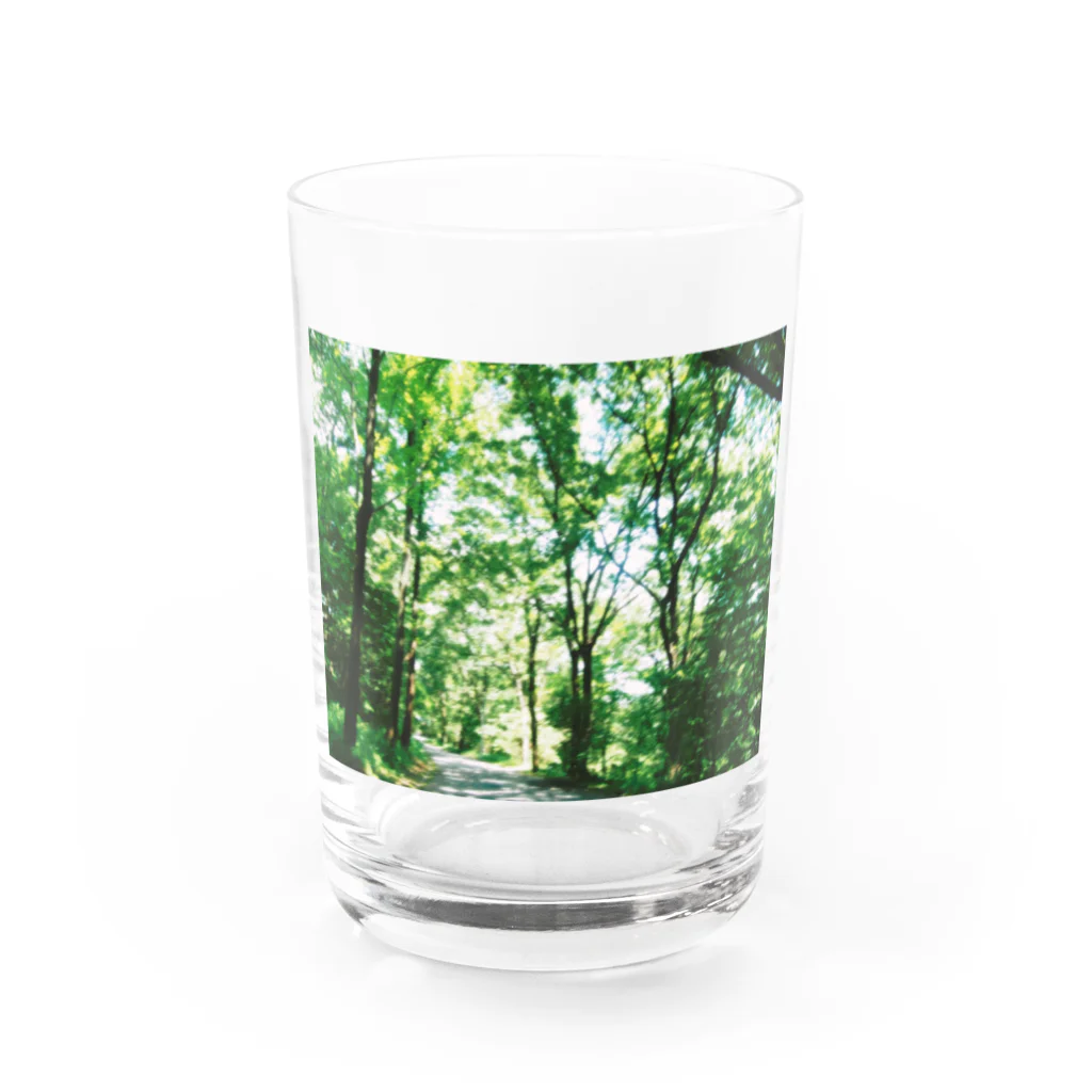 もの大自然 Water Glass :front