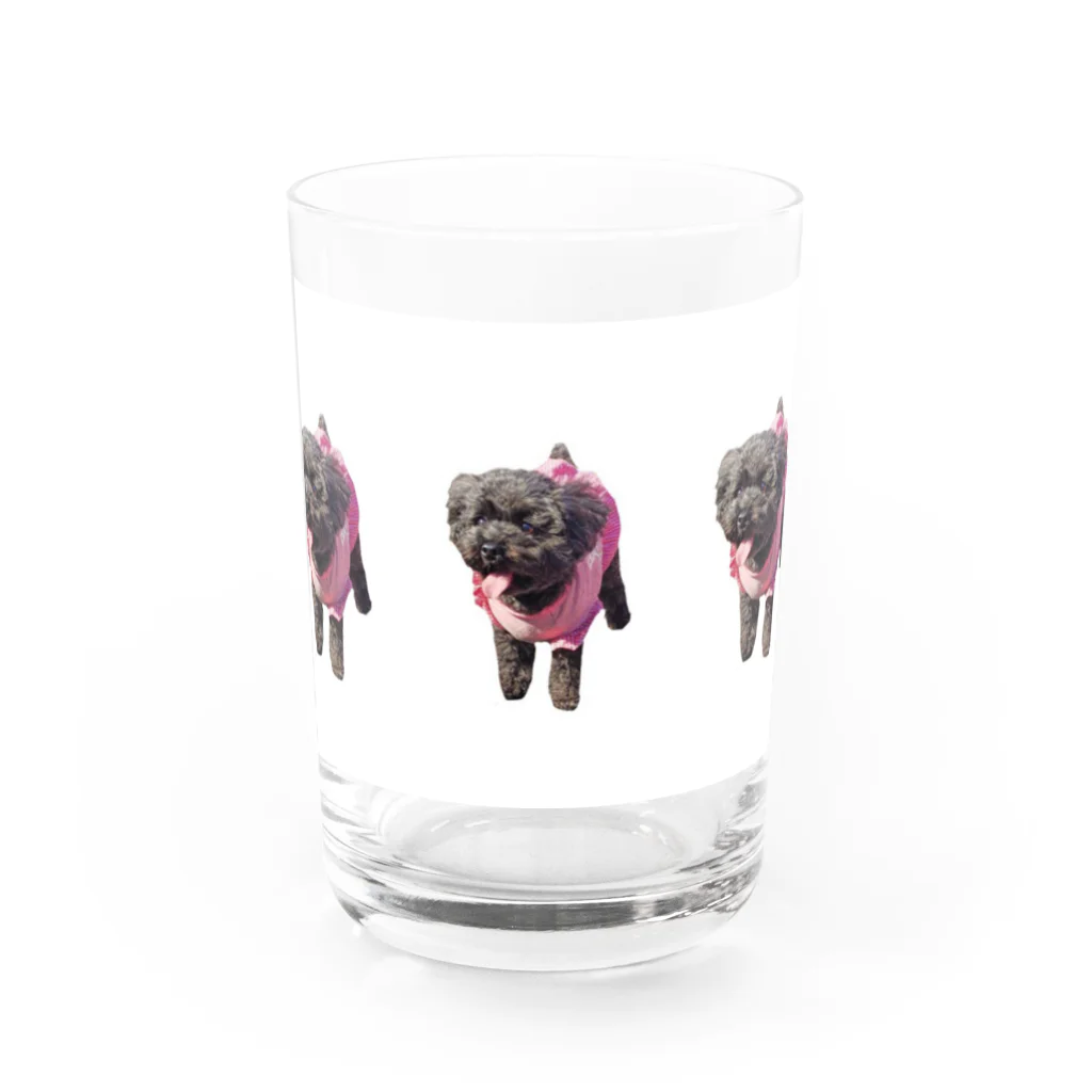 トイプードル ピュアショップのトイプードル ピュアちゃん Water Glass :front