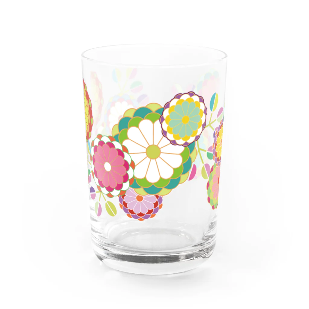 無孔笛の菊花 Water Glass :front