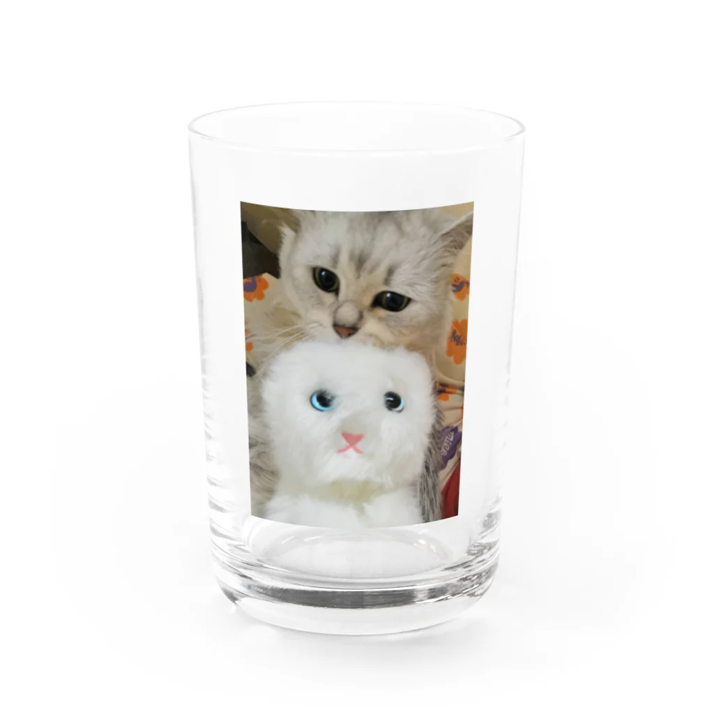 ฅもねฅのらび Water Glass :front