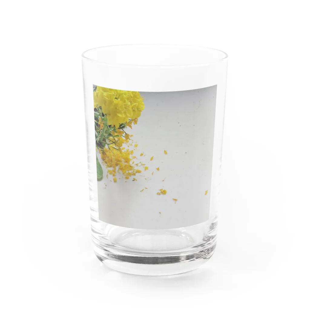 tonkamikaの菜の花　散 Water Glass :front